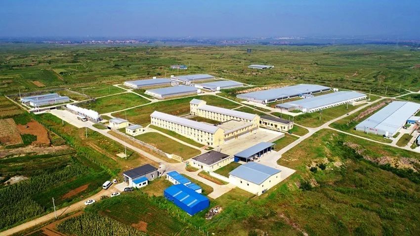 首页- 南宫NG28国际集团官方网站